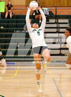 Photo from the gallery "Monterey Trail @ Kennedy"