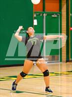Photo from the gallery "Monterey Trail @ Kennedy"