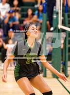 Photo from the gallery "Monterey Trail @ Kennedy"