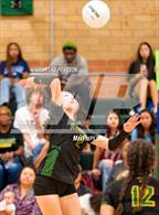 Photo from the gallery "Monterey Trail @ Kennedy"
