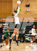 Photo from the gallery "Monterey Trail @ Kennedy"