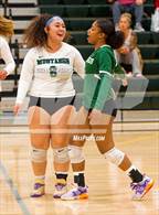 Photo from the gallery "Monterey Trail @ Kennedy"