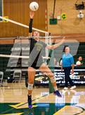 Photo from the gallery "Monterey Trail @ Kennedy"
