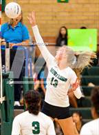 Photo from the gallery "Monterey Trail @ Kennedy"