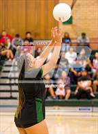 Photo from the gallery "Monterey Trail @ Kennedy"