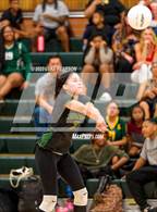 Photo from the gallery "Monterey Trail @ Kennedy"