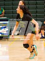 Photo from the gallery "Monterey Trail @ Kennedy"