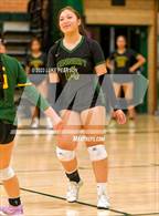 Photo from the gallery "Monterey Trail @ Kennedy"