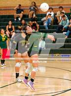Photo from the gallery "Monterey Trail @ Kennedy"