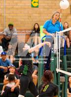 Photo from the gallery "Monterey Trail @ Kennedy"