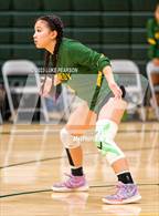 Photo from the gallery "Monterey Trail @ Kennedy"