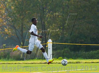 Thumbnail 2 in Panas @ Arlington photogallery.
