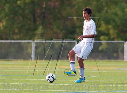 Thumbnail 2 in Panas @ Arlington photogallery.