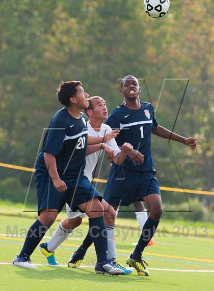 Thumbnail 2 in Panas @ Arlington photogallery.