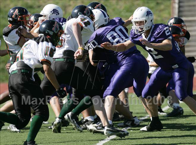 null - Photo 41
