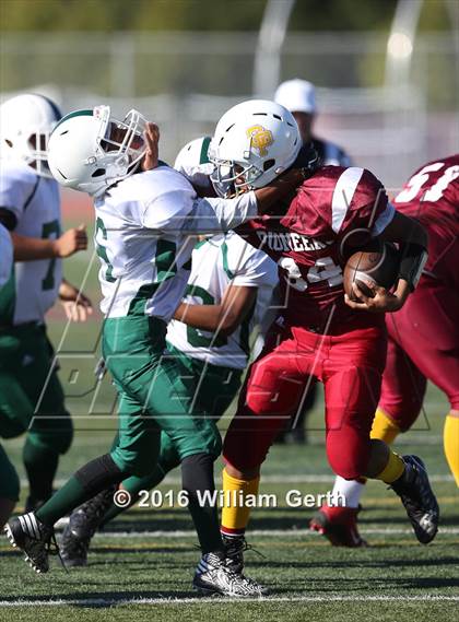 Thumbnail 3 in James Lick @ Cupertino photogallery.