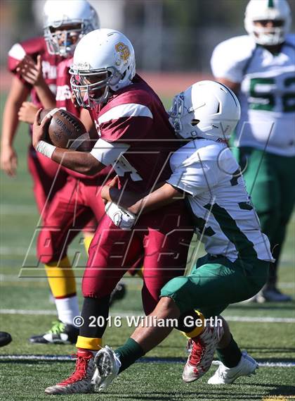 Thumbnail 2 in James Lick @ Cupertino photogallery.
