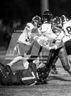 Photo from the gallery "Satellite @ Cocoa Beach"