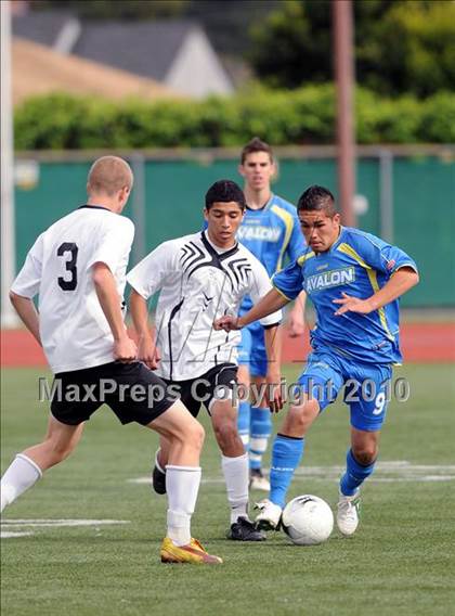 Thumbnail 1 in Santa Clara vs. Avalon (CIF SS D7 Final) photogallery.