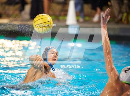 Thumbnail 3 in Tamalpais @ Archie Williams photogallery.