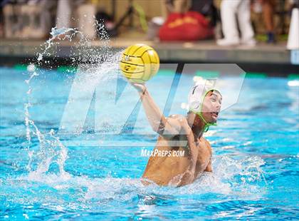 Thumbnail 2 in Tamalpais @ Archie Williams photogallery.