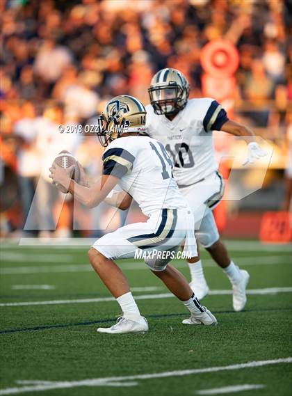 Thumbnail 1 in O'Connor vs Steele photogallery.