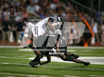 Thumbnail 1 in O'Connor vs Steele photogallery.