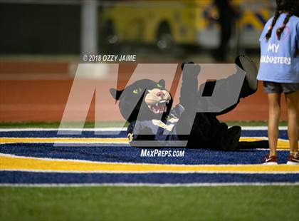 Thumbnail 2 in O'Connor vs Steele photogallery.