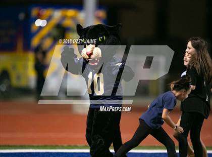 Thumbnail 1 in O'Connor vs Steele photogallery.