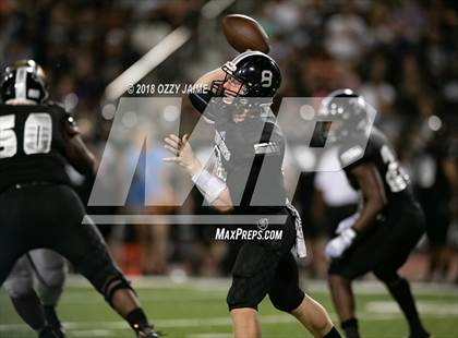 Thumbnail 2 in O'Connor vs Steele photogallery.