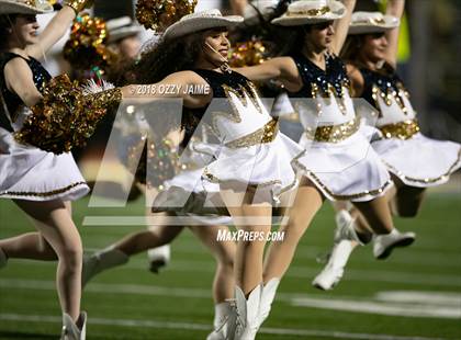 Thumbnail 1 in O'Connor vs Steele photogallery.