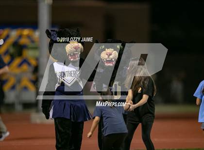 Thumbnail 2 in O'Connor vs Steele photogallery.