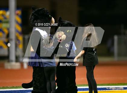 Thumbnail 1 in O'Connor vs Steele photogallery.