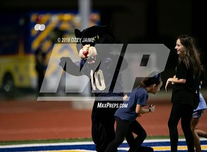 Thumbnail 3 in O'Connor vs Steele photogallery.