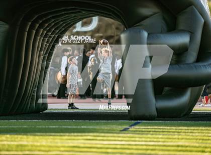 Thumbnail 3 in O'Connor vs Steele photogallery.