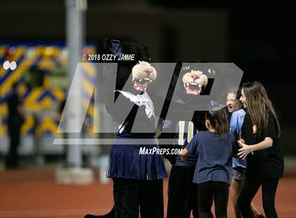 Thumbnail 3 in O'Connor vs Steele photogallery.