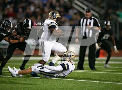 Thumbnail 1 in O'Connor vs Steele photogallery.