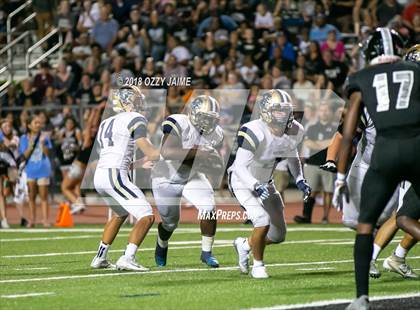 Thumbnail 1 in O'Connor vs Steele photogallery.