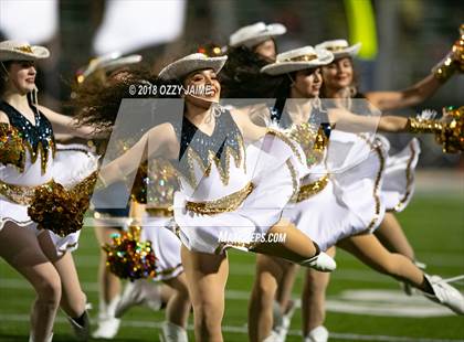 Thumbnail 2 in O'Connor vs Steele photogallery.