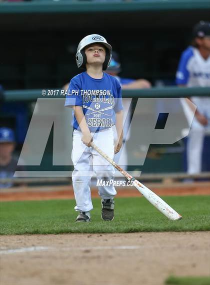 Thumbnail 2 in Rocklin vs. Davis @ Raley Field  photogallery.