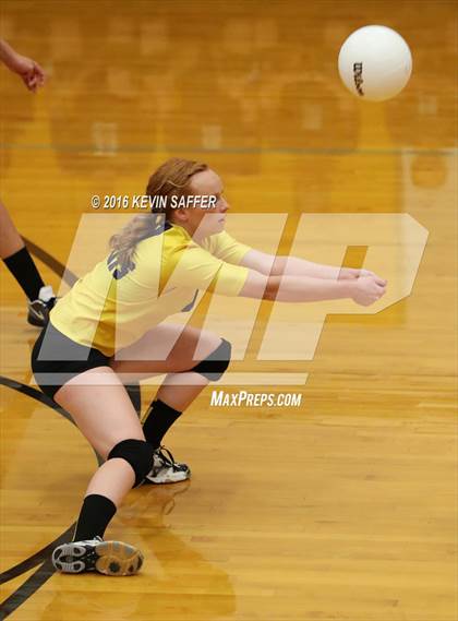 Thumbnail 2 in Flagler @ Kit Carson photogallery.