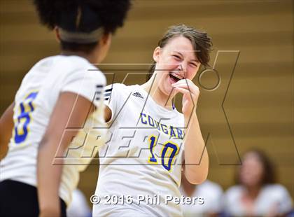 Thumbnail 2 in McDonough vs. Stone photogallery.