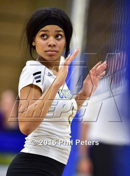 Thumbnail 3 in McDonough vs. Stone photogallery.