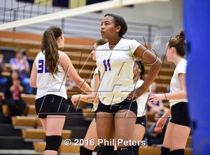 Thumbnail 2 in McDonough vs. Stone photogallery.