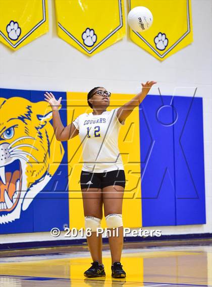 Thumbnail 3 in McDonough vs. Stone photogallery.