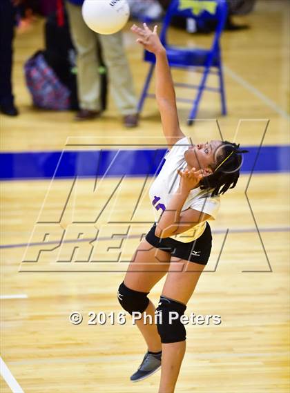 Thumbnail 3 in McDonough vs. Stone photogallery.