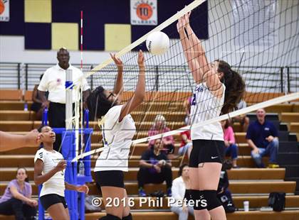 Thumbnail 2 in McDonough vs. Stone photogallery.