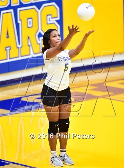 Thumbnail 2 in McDonough vs. Stone photogallery.