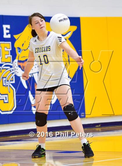 Thumbnail 2 in McDonough vs. Stone photogallery.