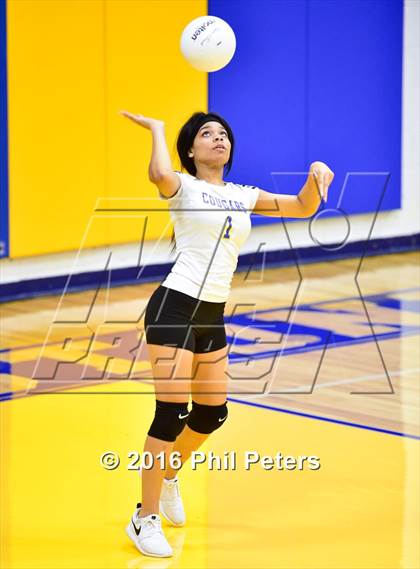 Thumbnail 3 in McDonough vs. Stone photogallery.